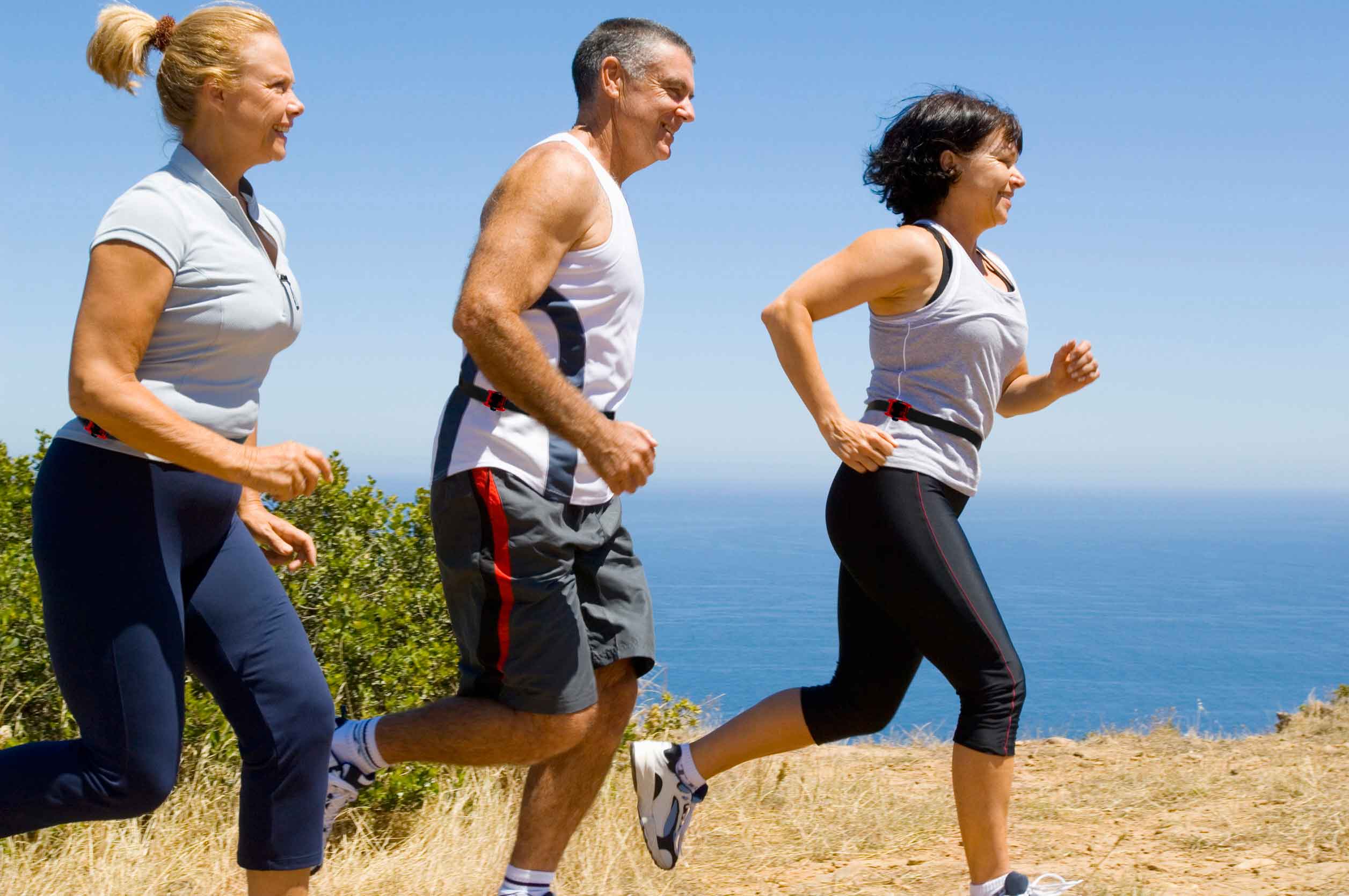 wGT3X actigraph wGT3X actigraph